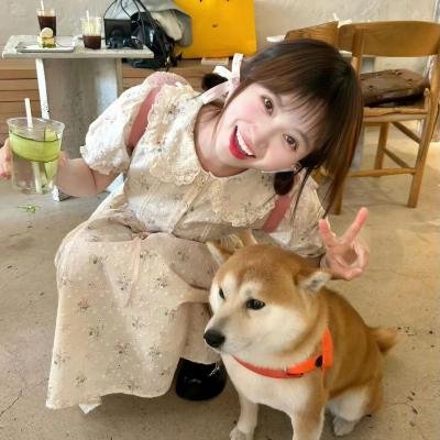 动画冒险