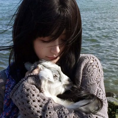 猫城