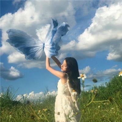 夏普的传奇